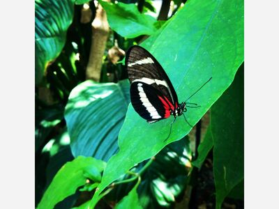 What's Pure Michigan's Weather Have in Store the Next 5 Days 