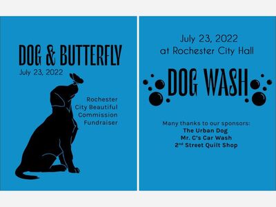Rochester City Beautiful Commission Hosts Dog Wash, July 23