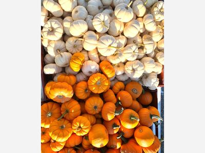Cheap Things to Do Around Town – October