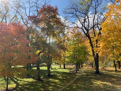 Rochester Hills celebrates Arbor Day, 33 years as Tree City USA community