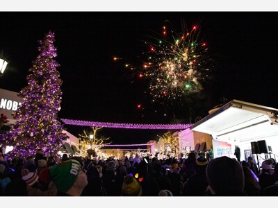 Tree Lightings and Holiday Celebrations Around Rochester, MI