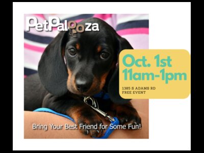 PetPalooza!