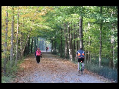 Green Space Advisory Board Meeting
